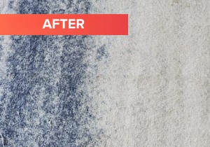 Carpet Cleaning After Treatment